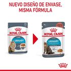 Royal Canin Urinary Sobre en Salsa para gatos, , large image number null